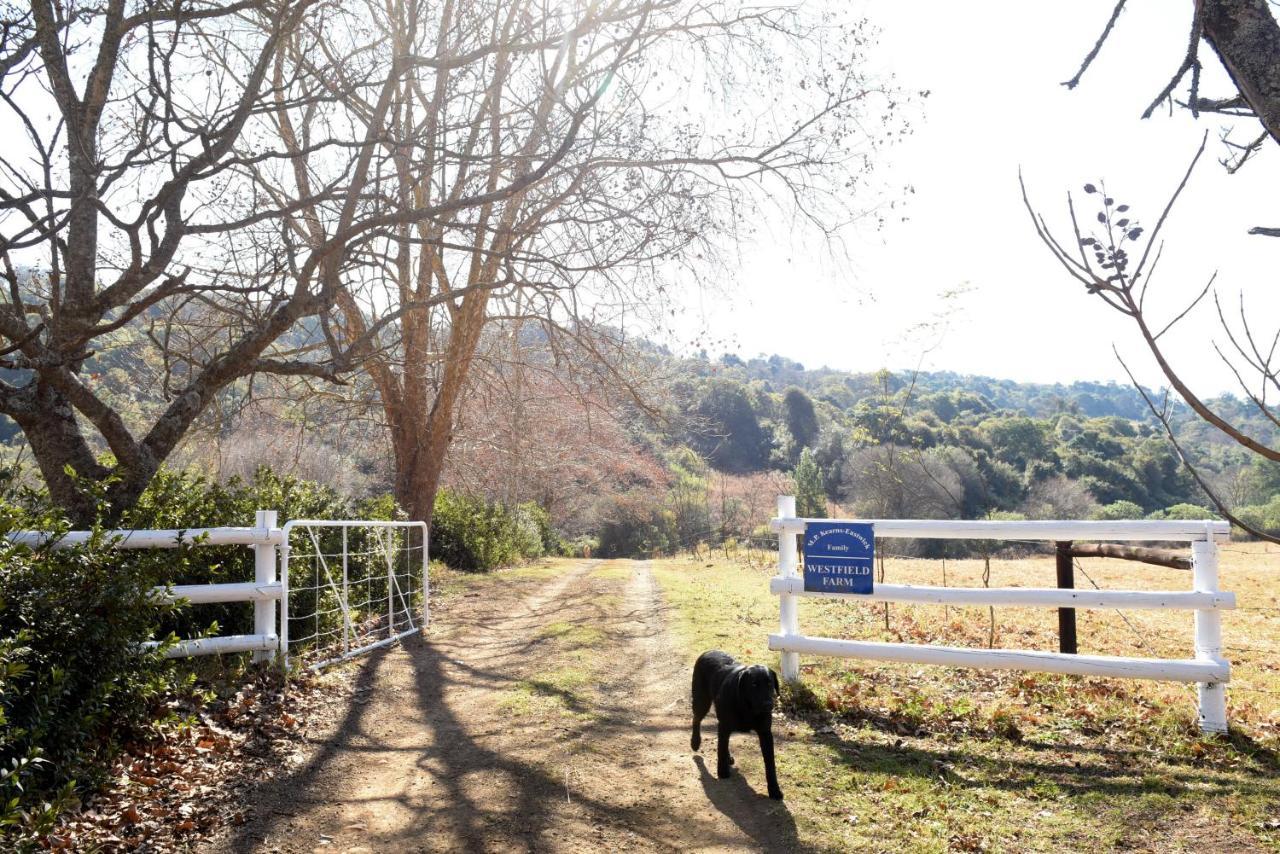 Westfield Farm Hotel Balgowan ภายนอก รูปภาพ