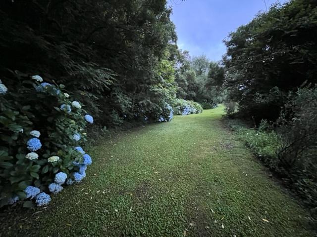 Westfield Farm Hotel Balgowan ภายนอก รูปภาพ