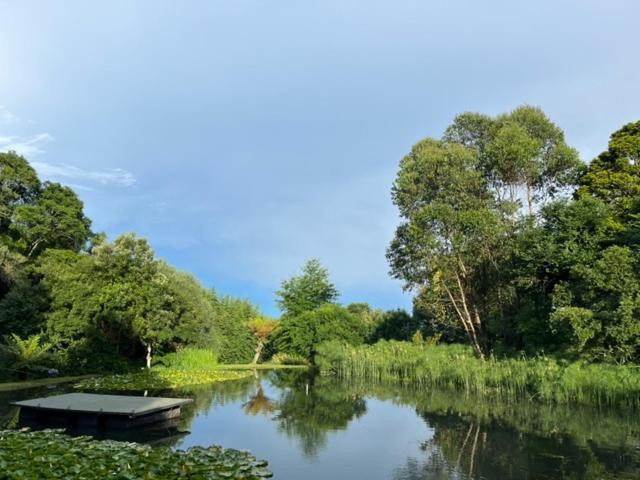 Westfield Farm Hotel Balgowan ภายนอก รูปภาพ