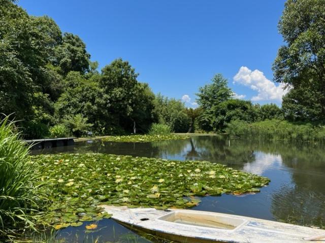 Westfield Farm Hotel Balgowan ภายนอก รูปภาพ